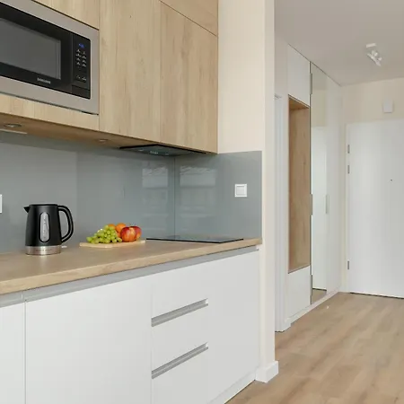 Apartment Comfortable In The Centre Of With Parking, & Gym By Renters Zakopane