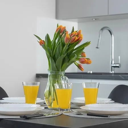 Διαμέρισμα Comfortable In The Centre Of With Parking, & Gym By Renters Ζακοπάνε