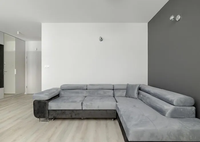 Apartman Comfortable In The Centre Of With Parking, & Gym By Renters *